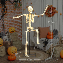 Laden Sie das Bild in den Galerie-Viewer, Animierte Halloween-Dekoration – Skelett mit LED-Augen, Sound &amp; Bewegung, 152 cm