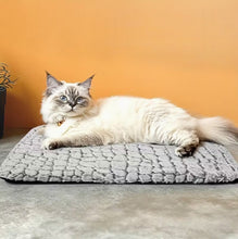 Laden Sie das Bild in den Galerie-Viewer, Extra warmes Thermo-Katzen- und Hundebett – ultra-weiche, waschbare Haustierliege