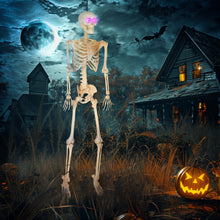 Laden Sie das Bild in den Galerie-Viewer, Animierte Halloween-Dekoration – Skelett mit LED-Augen, Sound &amp; Bewegung, 152 cm