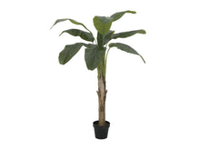 Laden Sie das Bild in den Galerie-Viewer, Künstliche Bananen-Palmen mit Seidenblättern und Naturstämmen. Pflegefrei. Viele Größen von 120 - 270 cm.